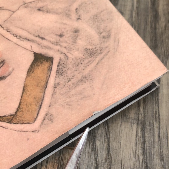 THE BOLEYN WOMEN & QUEEN ELIZABETH I historical biographies & English Royalty - Picture 16 of 16